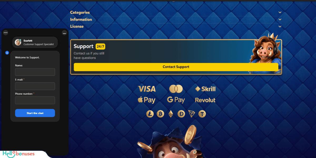 Kingia Casino Support